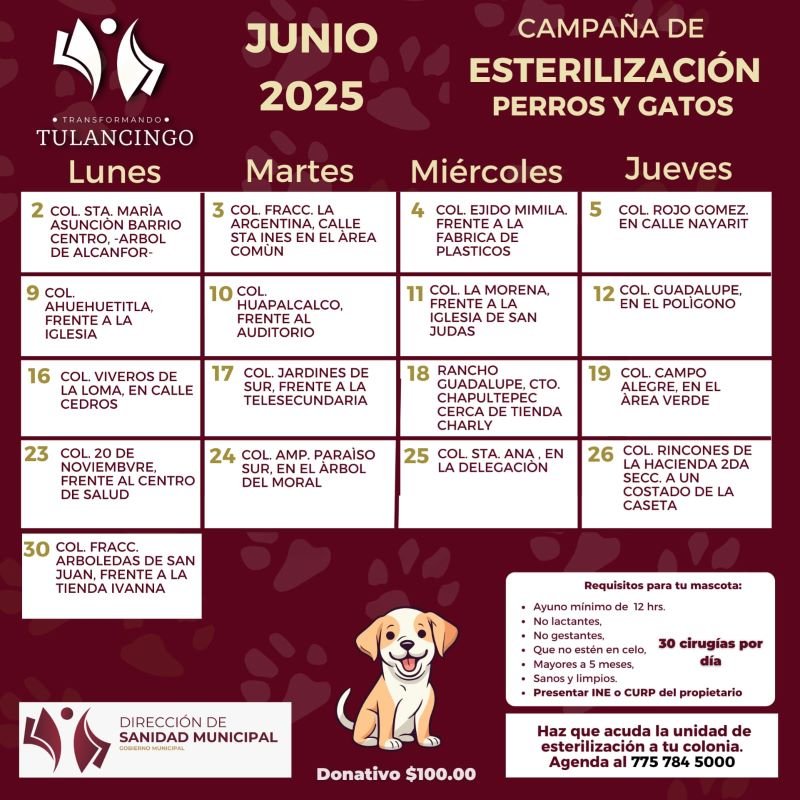 Están Por Alcanzarse Mil 800 Esterilizaciones Con Consultorio Móvil en Tulancingo