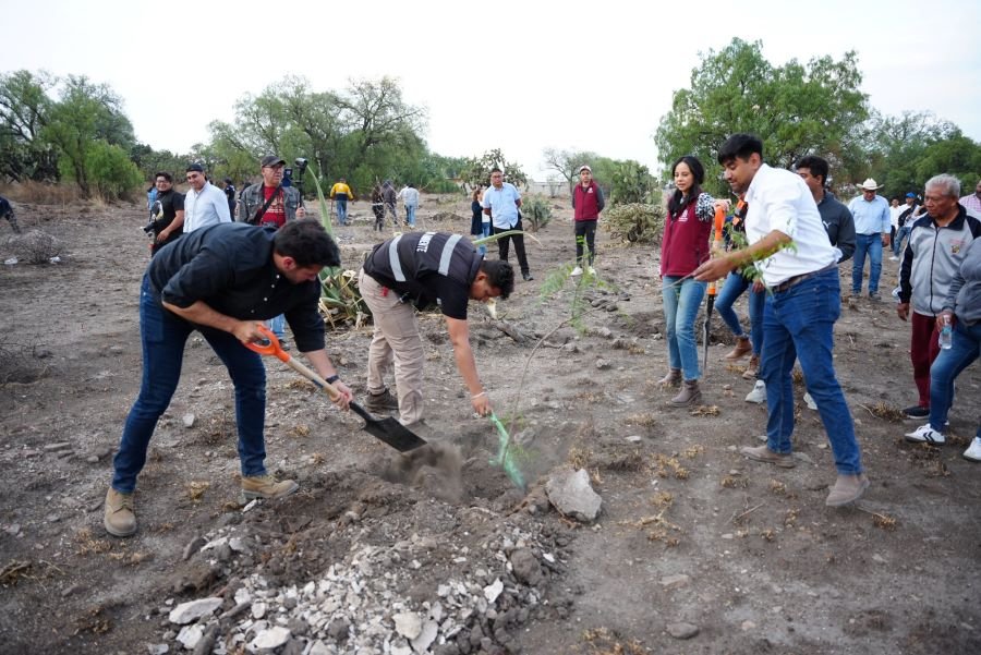 Jornada de Reforestación en Tizayuca: se sembraron 340 árboles en espacios públicos
