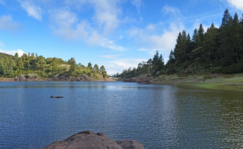 Biofutura Exige al Municipio de Pachuca La Creación, Por Decreto Municipal, de Dos Áreas Naturales Protegidas