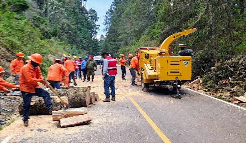 Cierre Temporal de Tramo Carretero Por Trabajos fitosanitarios en PNCH