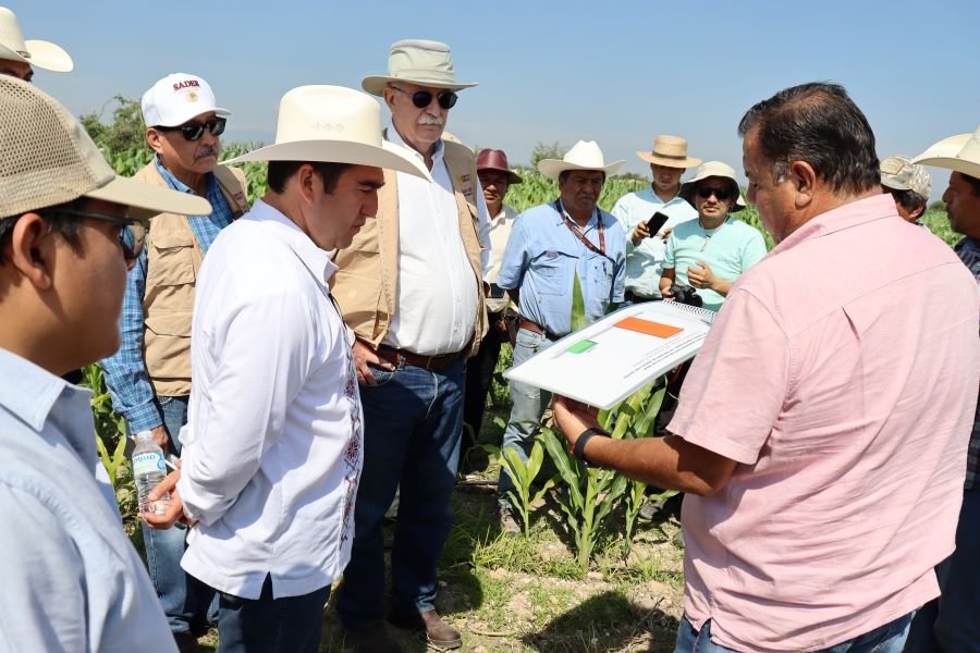 En Hidalgo se impulsa una verdadera transformación del campo: titular de la SADER