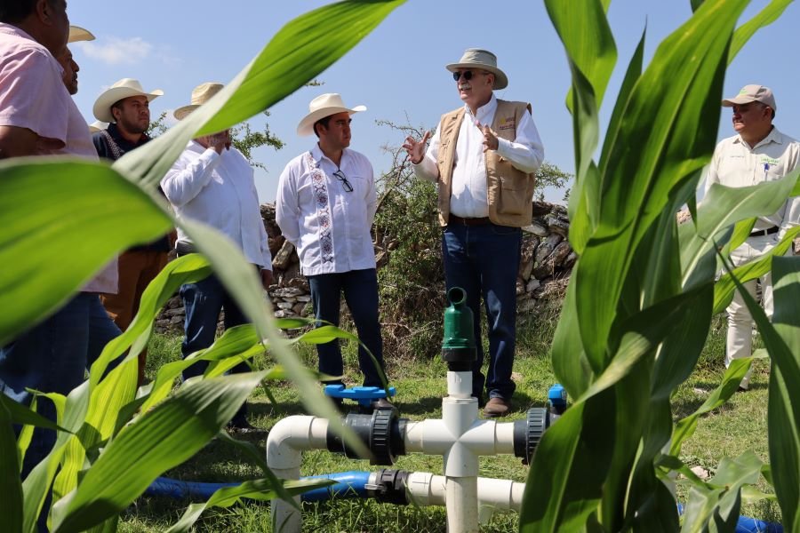 Julio Berdegué Sacristán, Titular de Sader en Gira por Hidalgo Superviso los Avances en el Sector Agropecuario