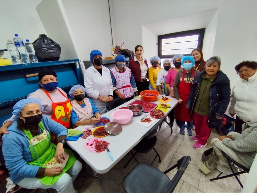 En el Consejo de Ciencia, Tecnología e Innovación de Hidalgo (CITNOVA)