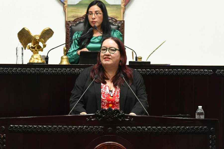 Diputados Presentan Iniciativa Para Hacer Público el Registro de Personas Que Incumplan Con La Pensión Por 60 Días ó Más