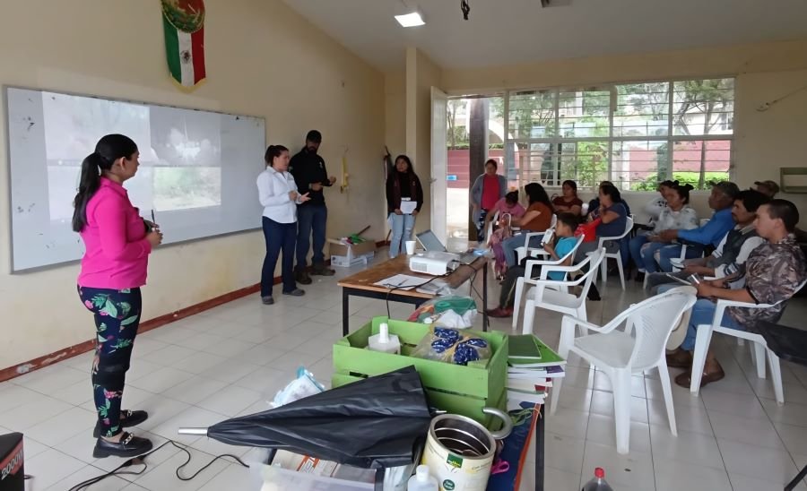Semarnath Lleva a Cabo Acciones Para La Conservación de Fauna Silvestre en Jacala de Ledezma