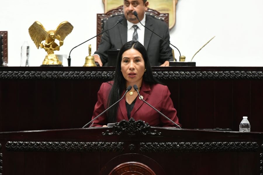 Diputada Exhorto a la SEDENA a Realizar Desarme Civil Voluntario