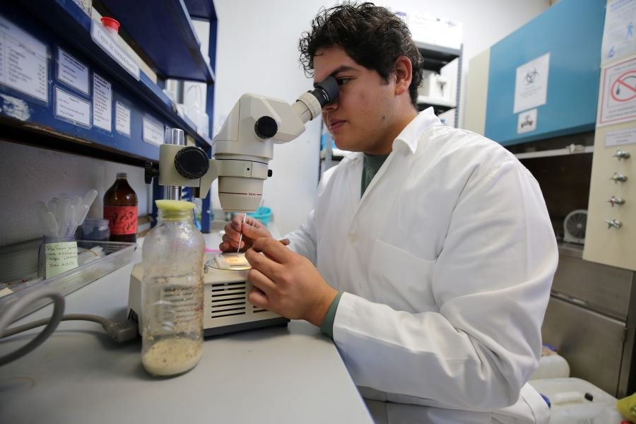 Abierta Convocatoria 2026 Para Licenciatura Y Posgrado De UAEH