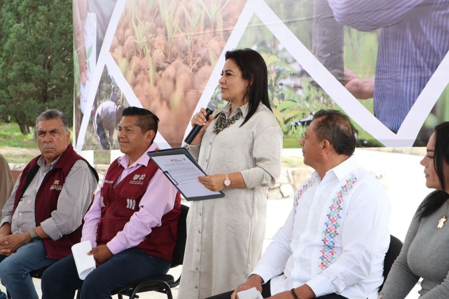 Hidalgo y la Comisión de Recursos Naturales y Desarrollo Rural CORENADR Entregan 377 Mil Plantas Forestales