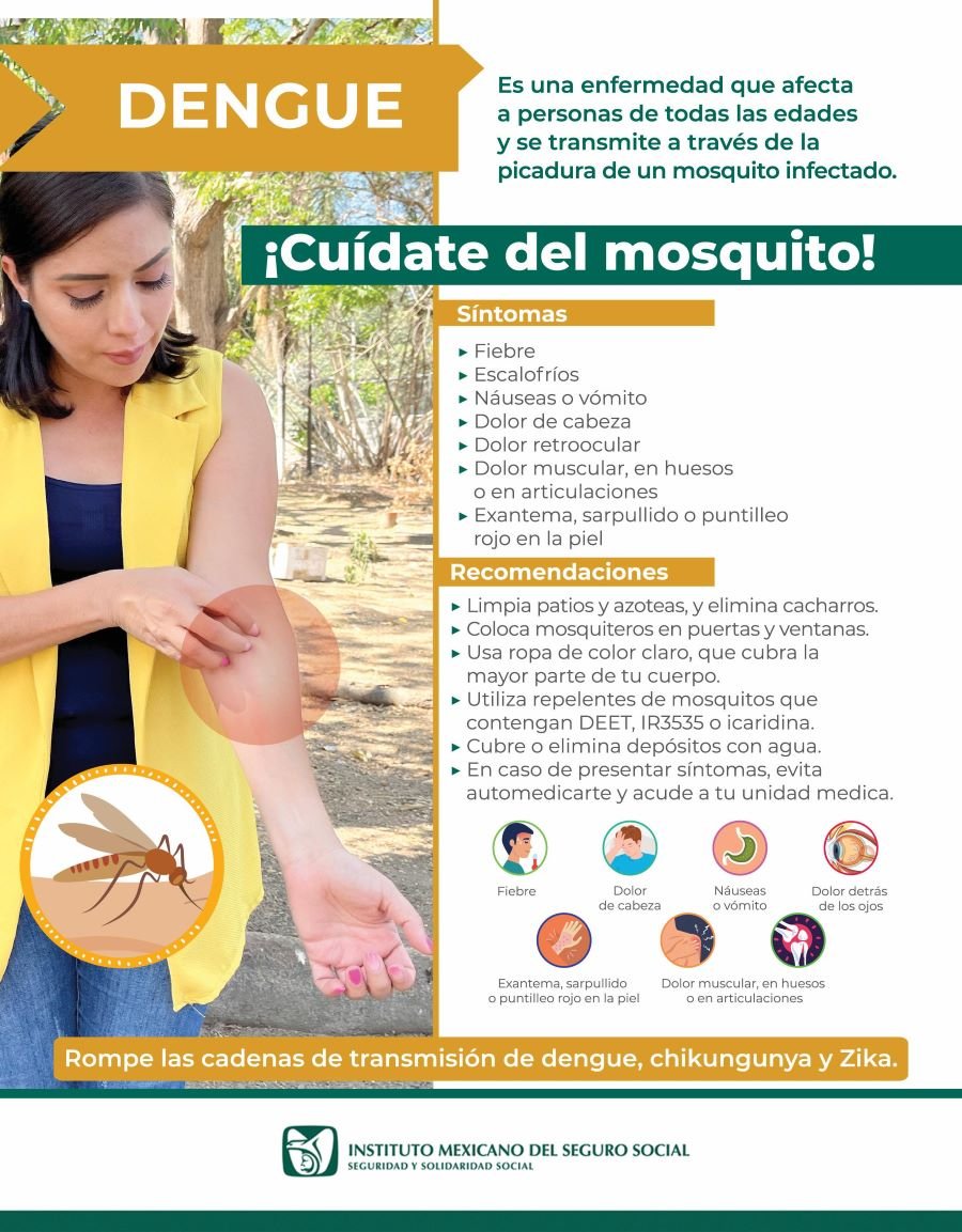 Llama IMSS Hidalgo a Realizar Acciones Para Prevenir Dengue