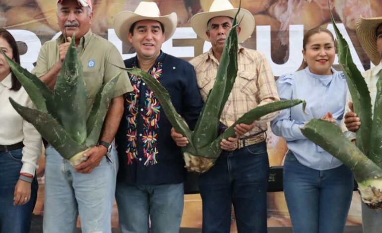 Optimización en el Uso Del Agua y Mejora de la Productividad, Prioridades Del Agro Hidalguense