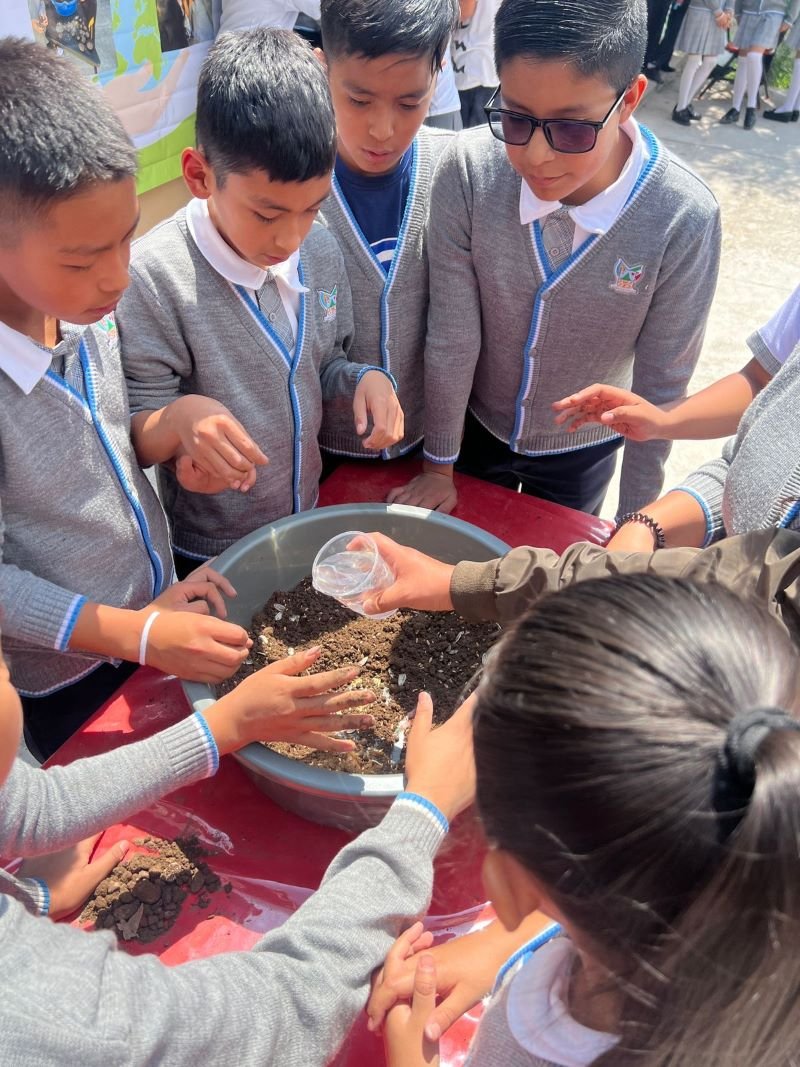 Promueven “Bombas de Vida” para reforestar escuelas y comunidades