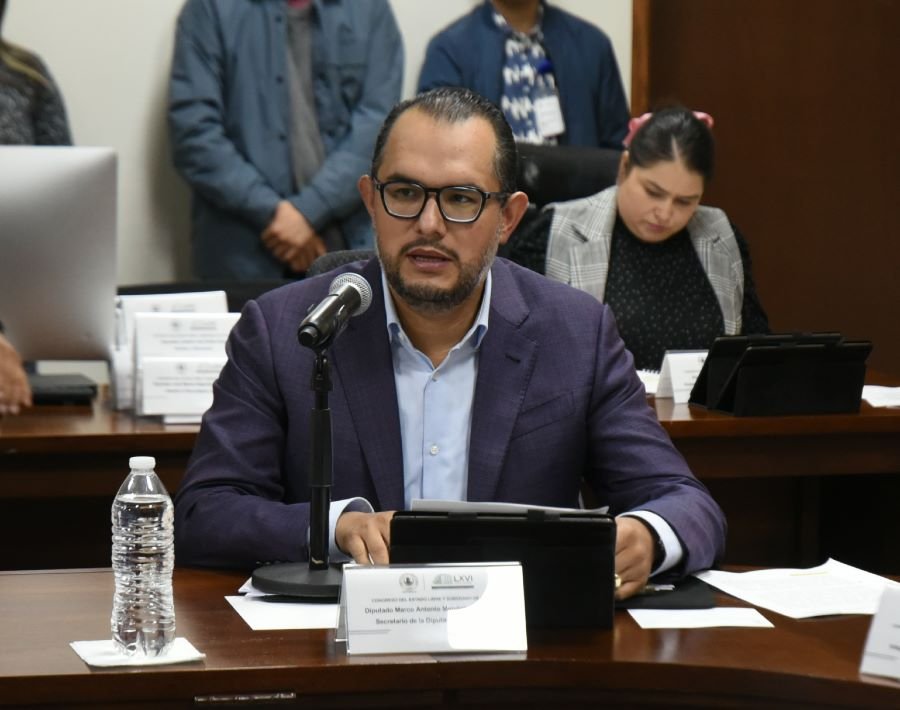 Principios Rectores, Protección a Menores, Promoción de la Lectura y Organizaciones Deportivas