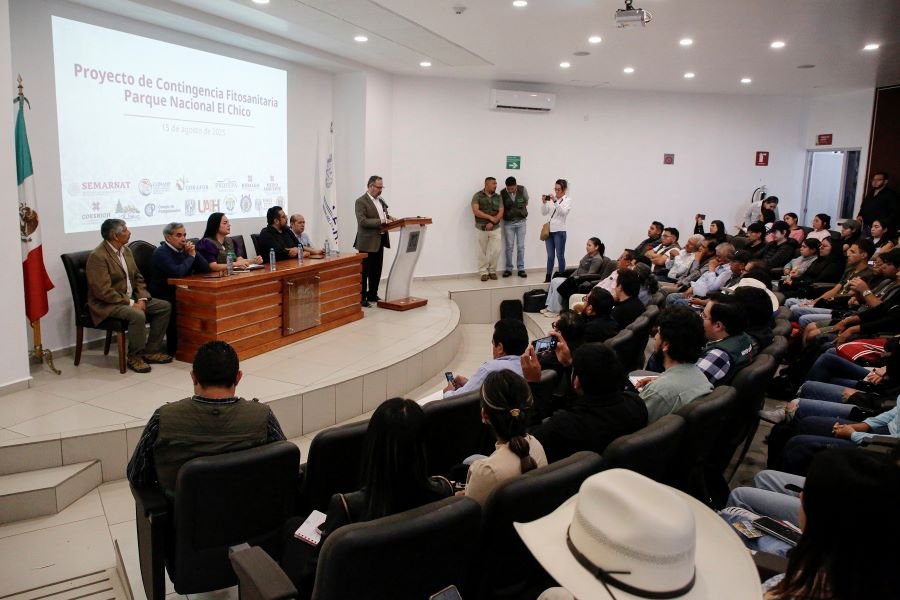 UAEH, Universidades y Gobierno Avanzan Un 74% en El Rescate del Oyamel