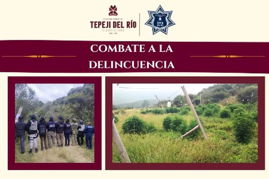 “Moto Segura” Decomisa Diariamente Entre Siete y 10 Motocicletas, ya se Han Acumulado 399