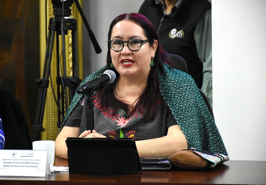 Acuerdo Económico Investigación de Homicidio del Edil Miguel Bahena Solórzano, presidente municipal de Pisaflores