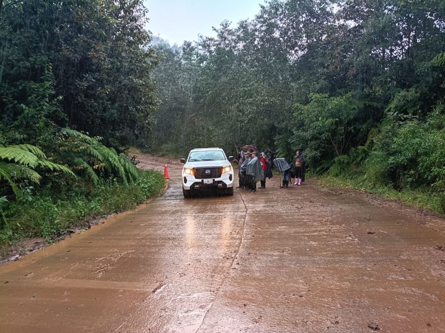 Reabren 255 Caminos y 25 Carreteras Federales