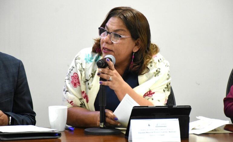 Diputada Propone Crear la Ley del Servicio Profesional Municipal de Carrera para el Estado de Hidalgo