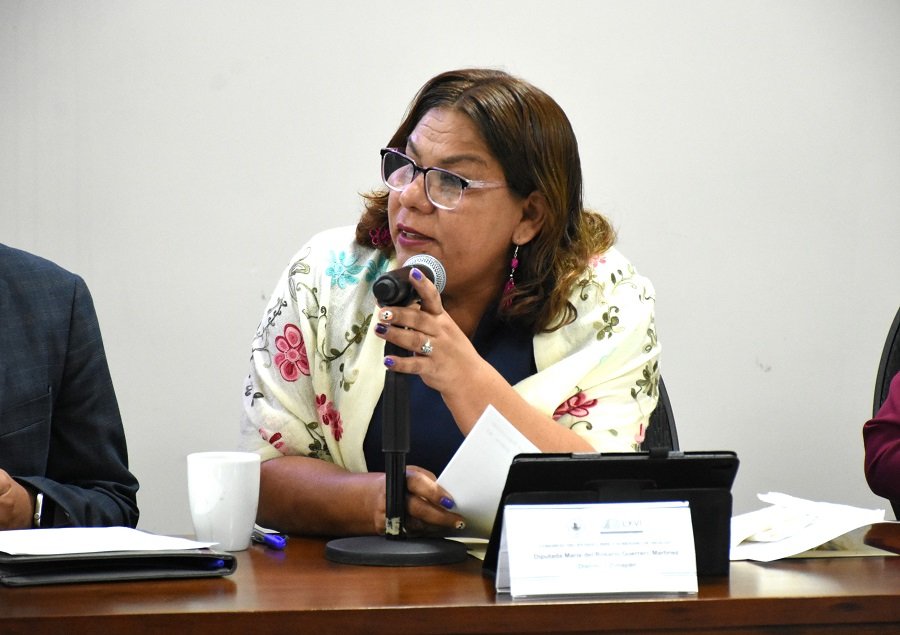 Diputada Propone Crear la Ley del Servicio Profesional Municipal de Carrera para el Estado de Hidalgo
