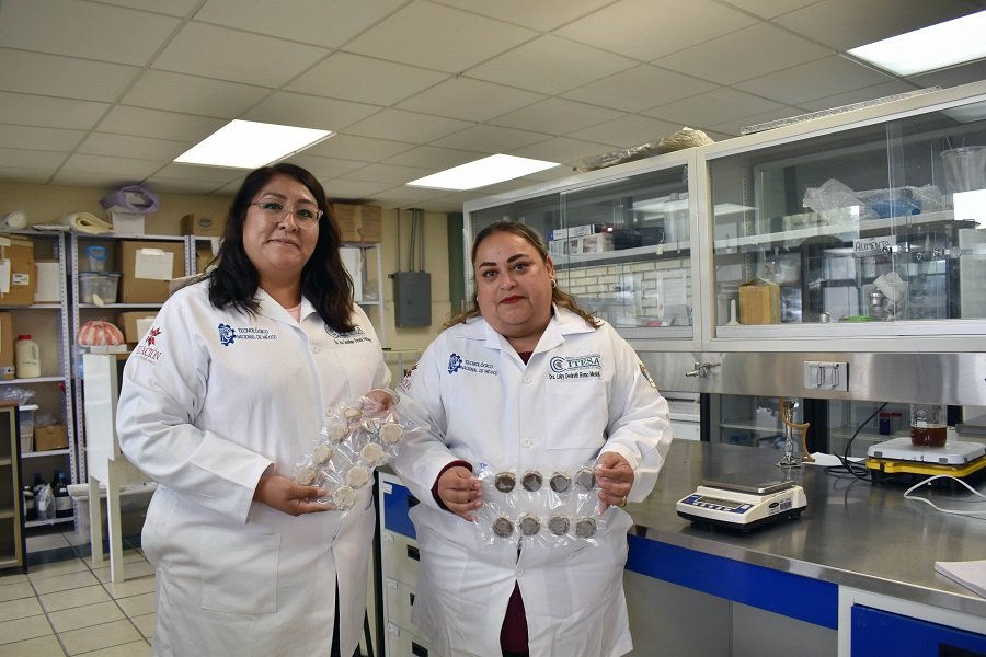 ITESA Desarrolla Proyecto Para Proteger a Las Abejas Con Alimento a Base de Tuna