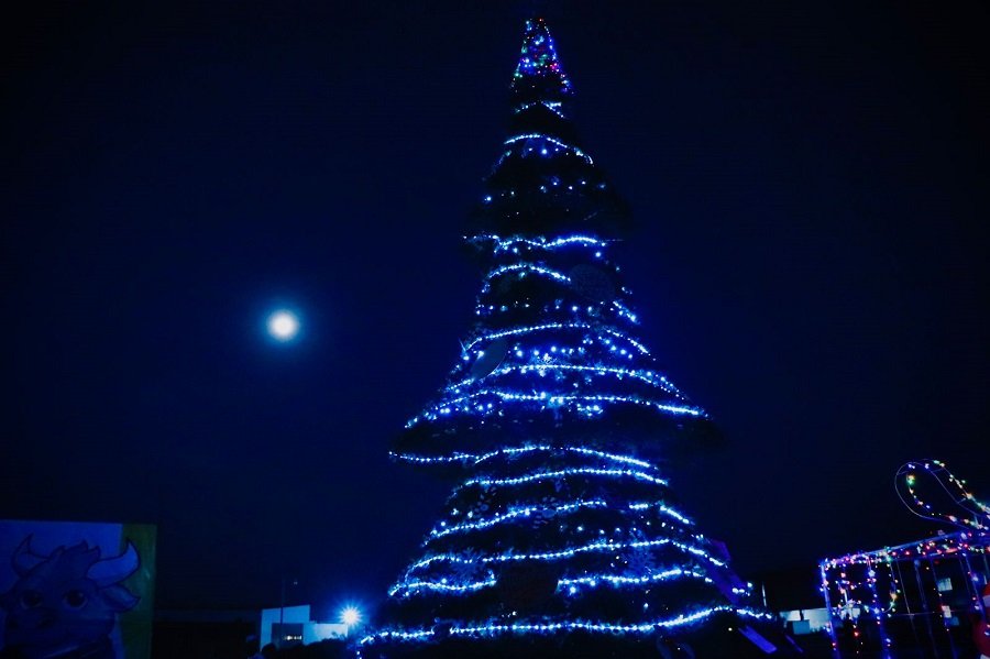 Entre Luces, Alegría y Tradición, la UPT Celebra el Encendido del Árbol Navideño 2025