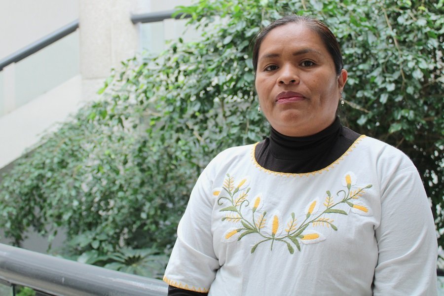 Migrantes hidalguenses celebran fiestas decembrinas y refuerzan su identidad cultural