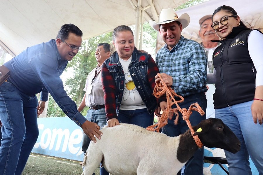 Robustecer la Ganadería Con Mejoramiento Genético y Entrega de Ejemplares, Prioridad del Gobierno de Hidalgo