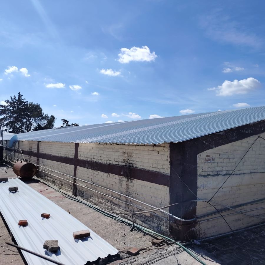 Destina el Gobierno de Menchaca Más de 13 millones Para Cambio de techumbres y rehabilitación de drenajes sanitarios de Mercados.