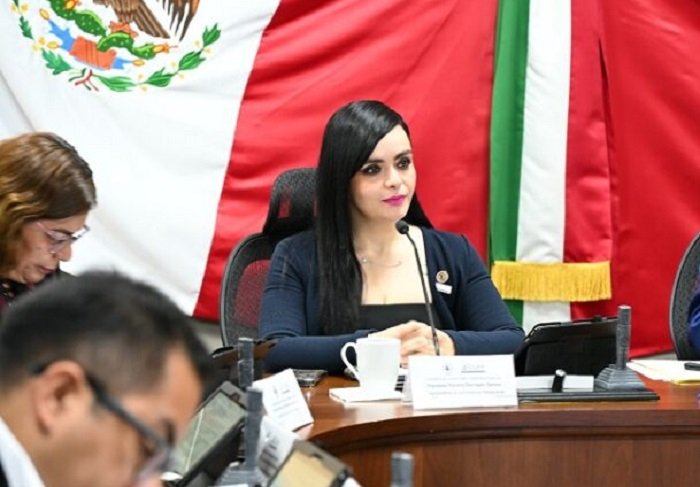 Diputada Propone Fortalecer La Seguridad en Refugios Para Víctimas de Violencia