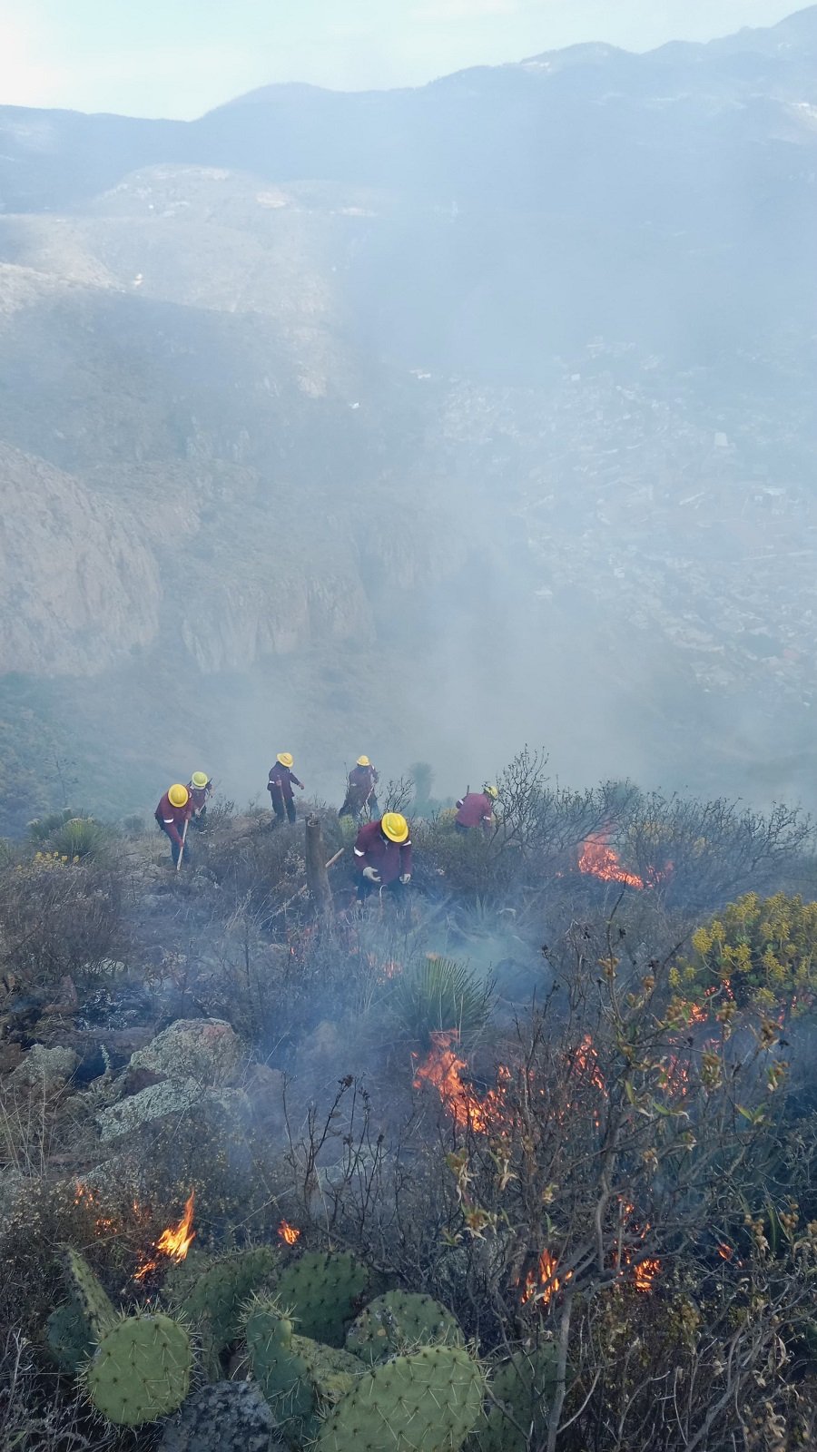 SEMARNATH encabeza el combate a incendio de interfaz urbano tipo 3 en la serranía de Pachuca