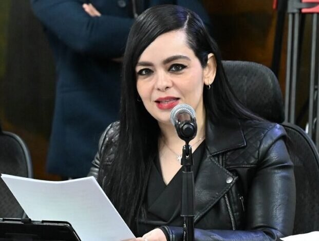 Diputada Impulsa Reforma Para Fortalecer La Inclusión Financiera de Mujeres Emprendedoras