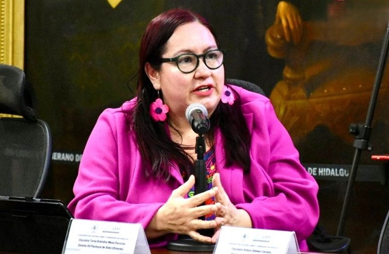 Propone Diputada de Morena Retirar  la Patria Potestad Para Feminicidas y a Deudores Alimentarios en Hidalgo.