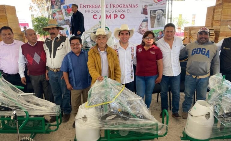 Saderh refuerza la apicultura y entrega sementales ovinos para el desarrollo integral del campo en Zimapán