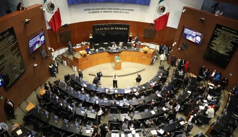 Desde El Senado Se Llama a Fortalecer La Vacunación en Todas Las Etapas dVida Como Acción Prioritaria De Salud Pública