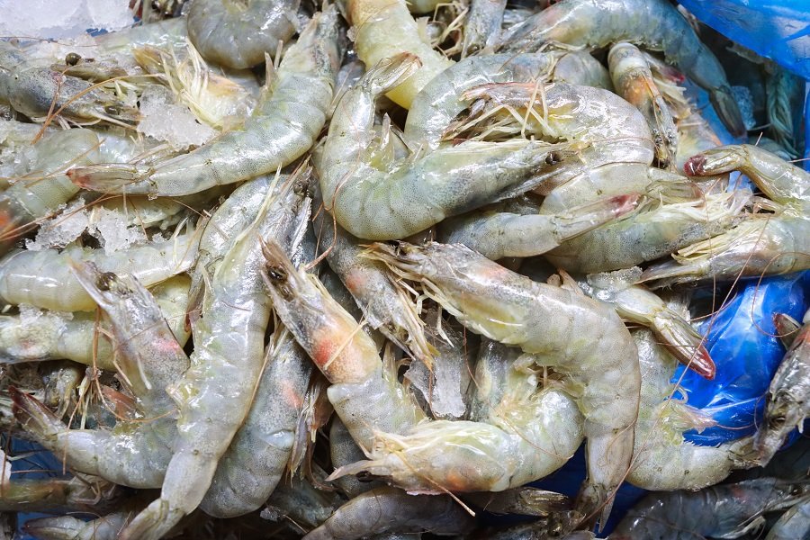 En Cuaresma, Copriseh refuerza vigilancia sanitaria