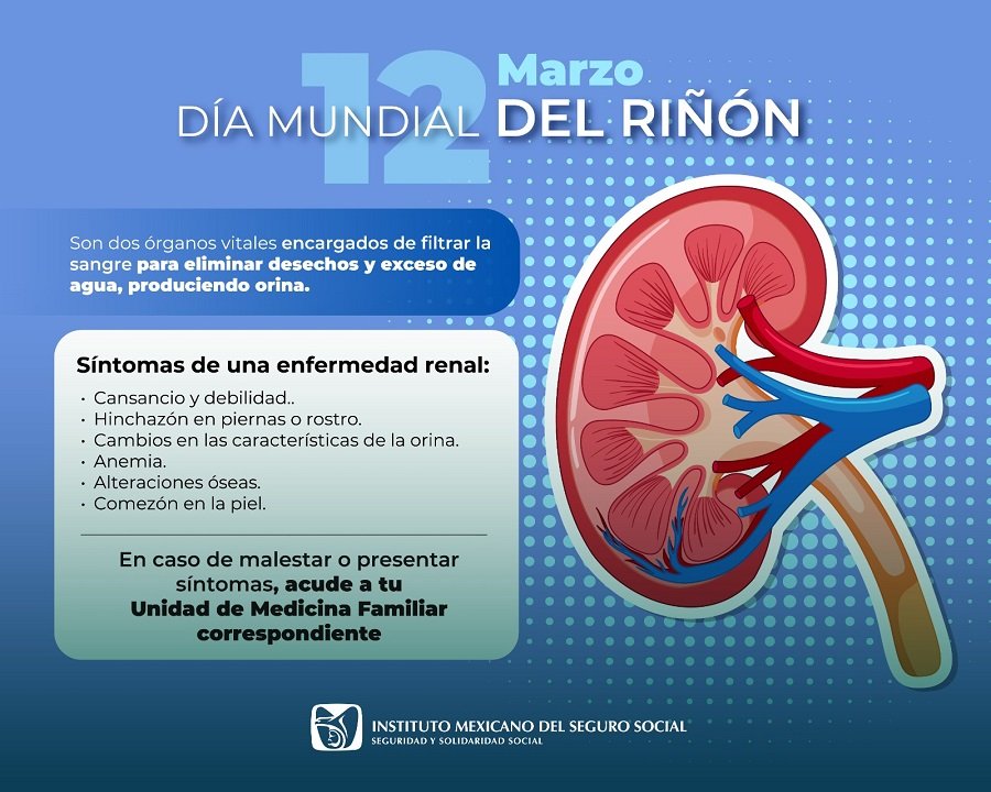 Impulsa IMSS Hidalgo Cuidado de Salud Renal Entre Población Derechohabiente