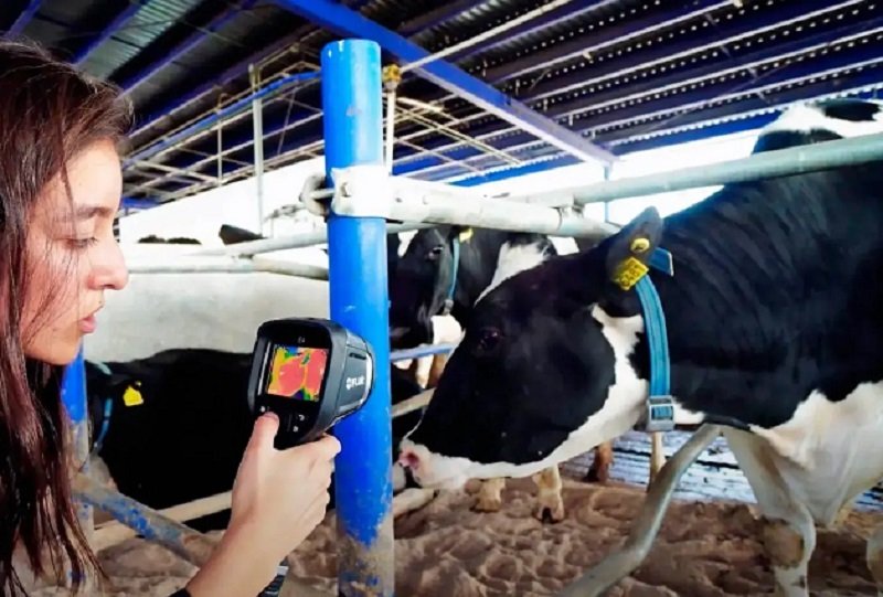 México es Octavo Productor Mundial de Leche Acelera Adopción de Monitoreo Inteligente en su Sector Lechero