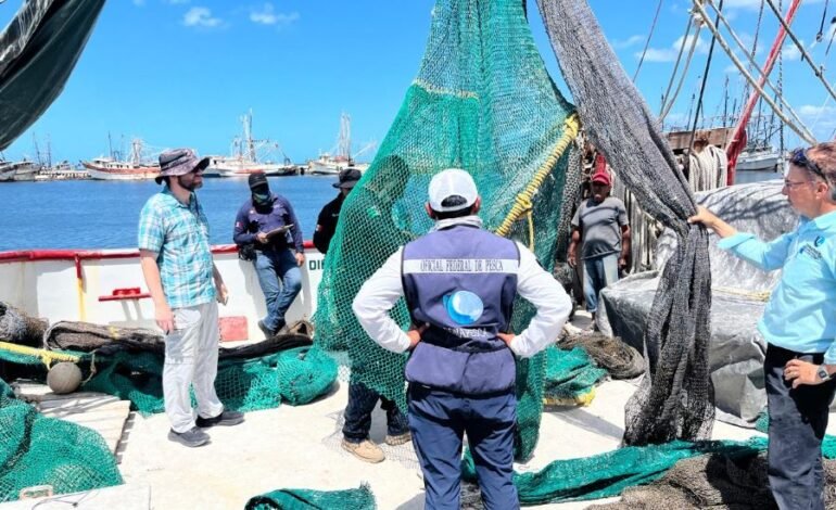 México logra calificación de 93% en comparabilidad para exportación de camarón mexicano a Estados Unidos