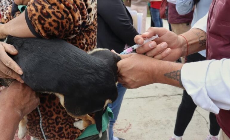 SSH convoca a participar en la Semana Nacional de Vacunación Antirrábica 2026