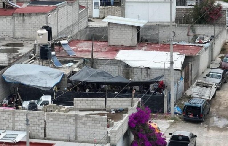 37 Personas Fueron Detenidas en Peleas de Gallos Clandestinas en la Colonia Sierra Bonita en Pachuca