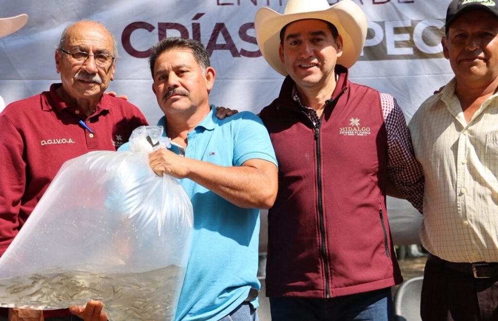 Entregan 70 mil crías de trucha en la Comarca Minera y Otomí-Tepehua