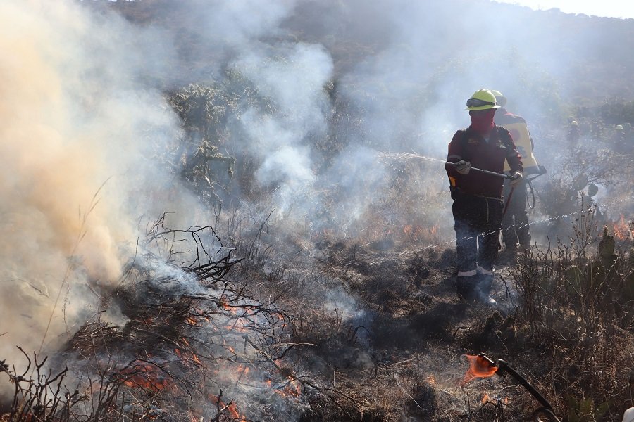 Incendio Forestal Registrado en la Comunidad de Comatitlán, Jacala de Ledezma