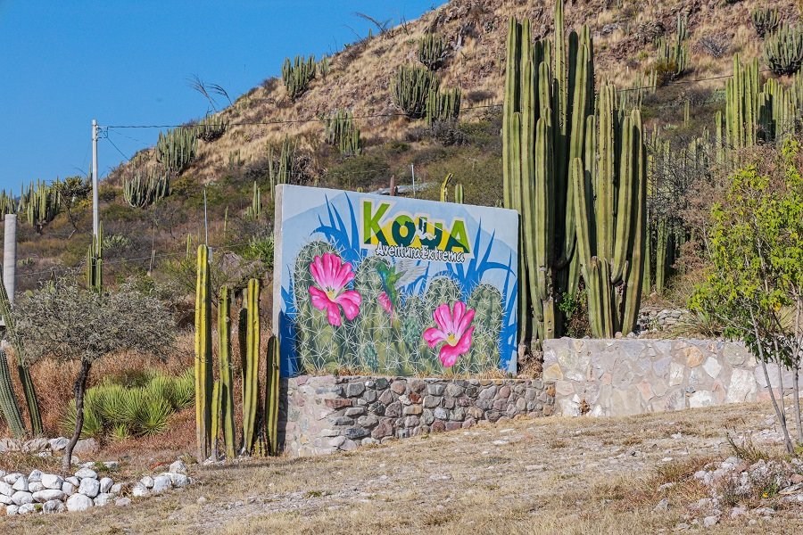 KOUA: Espacio Ideal Para el Turismo de Aventura en Hidalgo