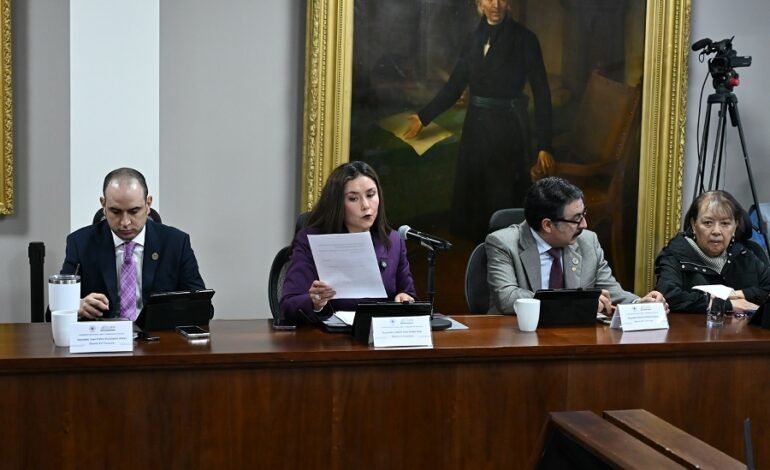 Congreso de Hidalgo Aprueba La Creación de Procuradurías Municipales de Protección Para Niños