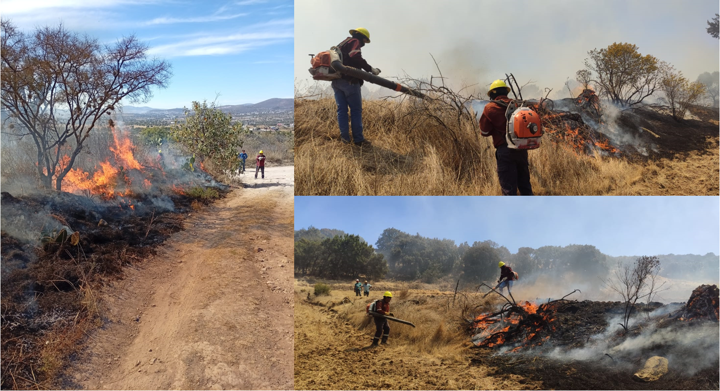 Más del 60 % de los Incendios en la Entidad Son Provocados Por Personas