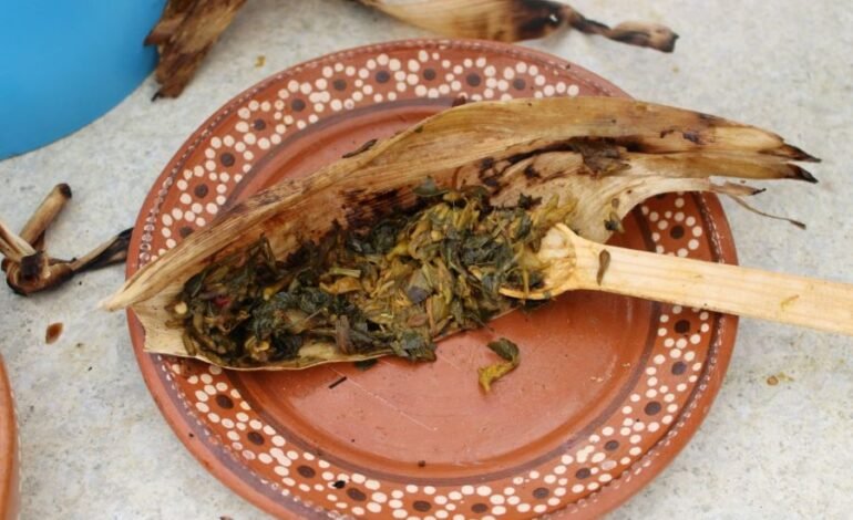 Recetas Tradicionales del Valle del Mezquital Reflejan Riqueza Natural y Cultural