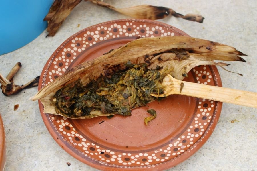 Recetas Tradicionales del Valle del Mezquital Reflejan Riqueza Natural y Cultural