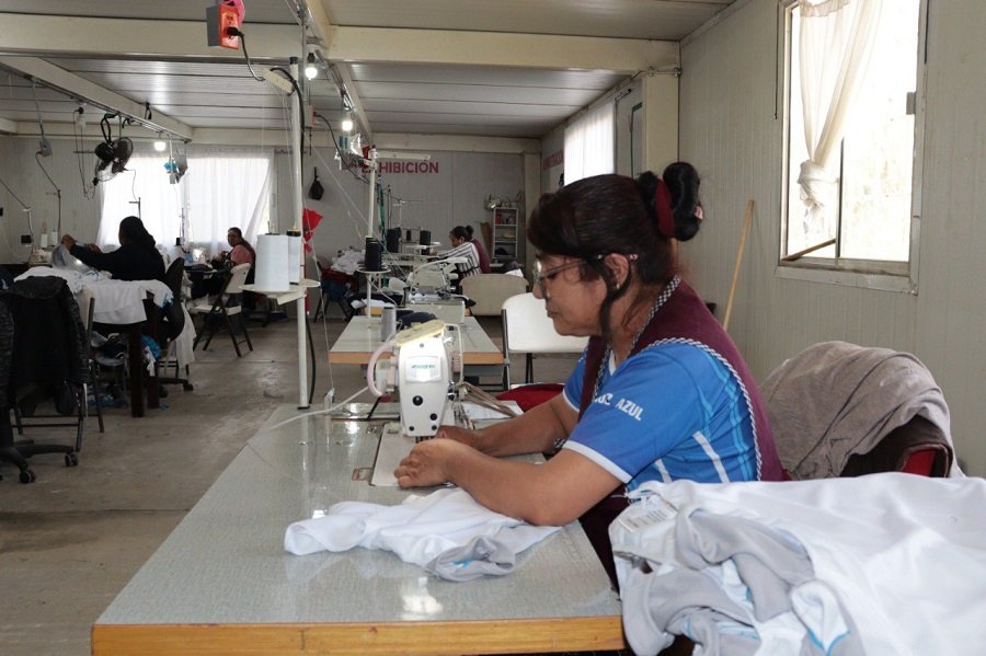 STPSH apertura apoyos económicos para Autoempleo, Movilidad Laboral y Empleabilidad