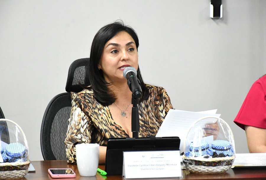 Diputada Cynthia Delgado Presenta Iniciativa de Reforma Código Electoral para eliminar 218 cargos en ayuntamientos de Hidalgo