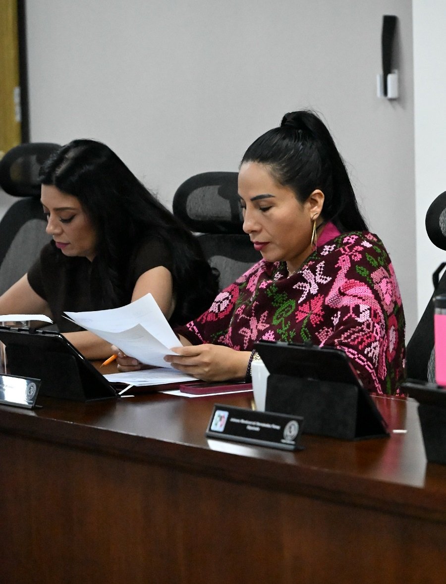 Con Iniciativa, Diputada Propone Crear el Registro Estatal de Abuso y Negligencia Infantil