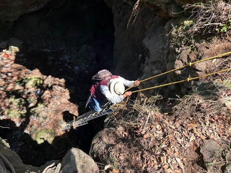 Hallazgo en cuevas de Cuautepec Refuerza Protección de Murciélagos en Hidalgo